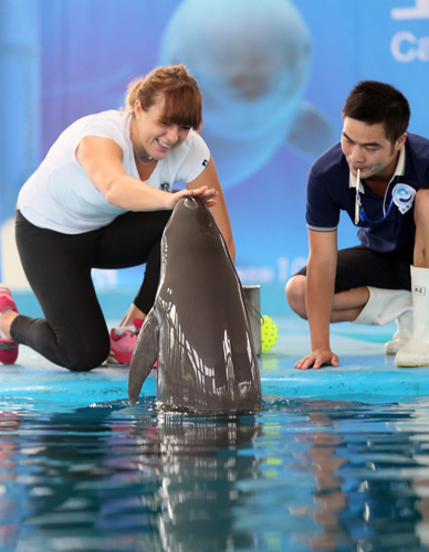 在变化莫测 在变化莫测